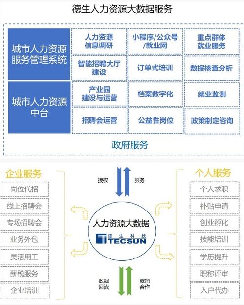大数据人力资源服务哪家强 人力资源测评服务深度剖析